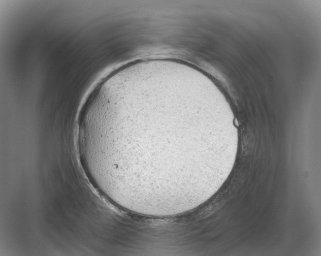 X0000082151472200702162156