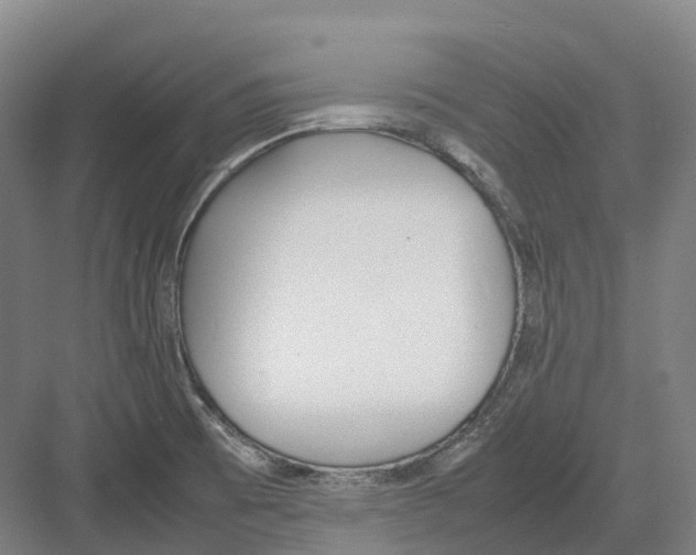 X0000082151473200702162156