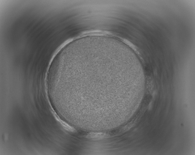 X0000082151474200702162156