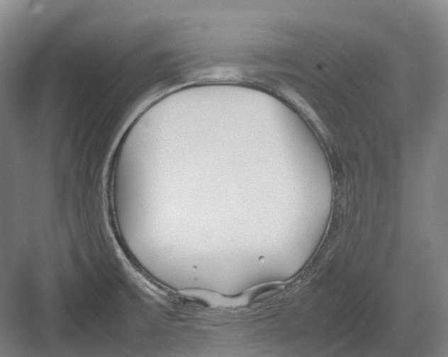 X0000082151475200702162156