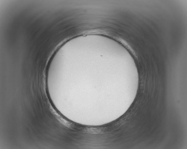 X0000082151476200702162156