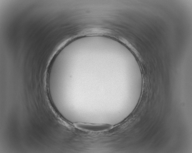 X0000082151477200702162156