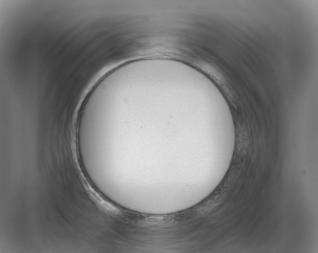 X0000082151478200702162156