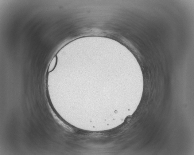 X0000082151479200702162156