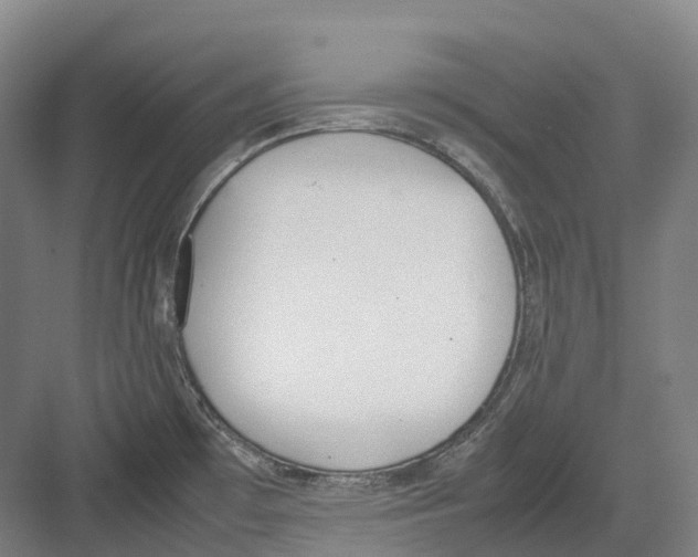 X0000082151481200702162156