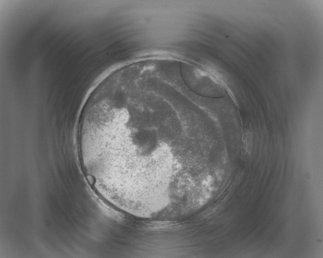 X0000082151482200702162155