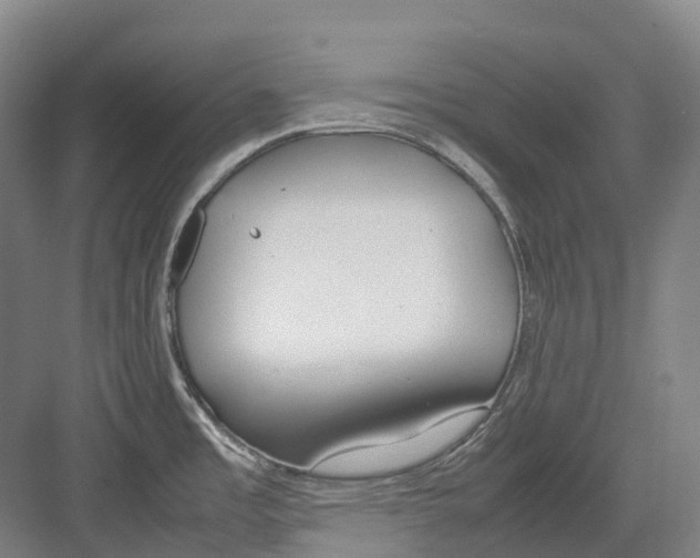 X0000082151485200702162155