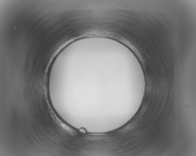 X0000082151486200702162155