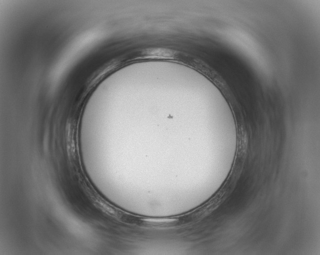 X0000082151487200702162155