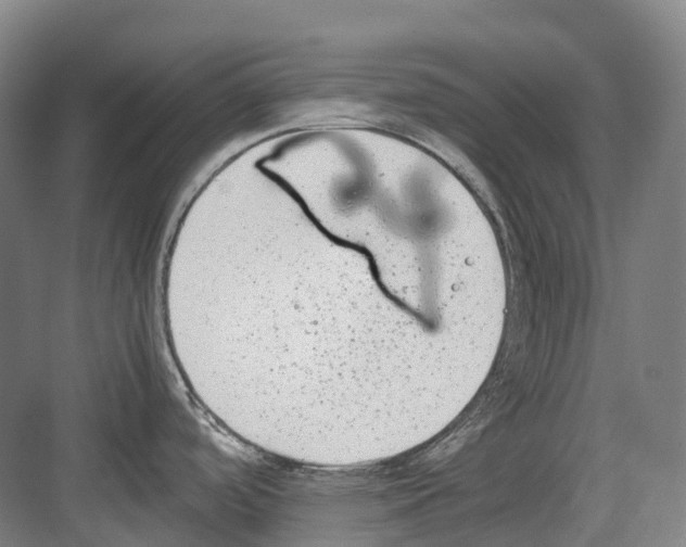 X0000082151488200702162155