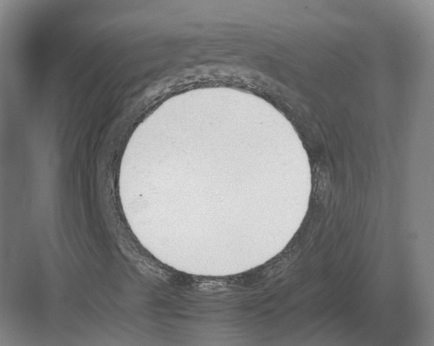 X0000082151489200702162155