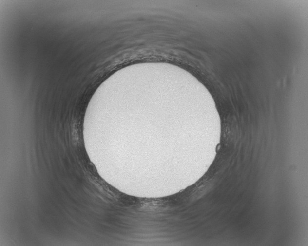 X0000082151490200702162155