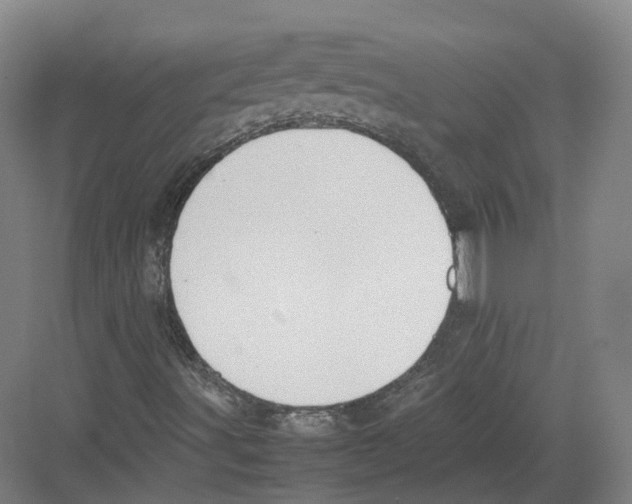 X0000082151491200702162155