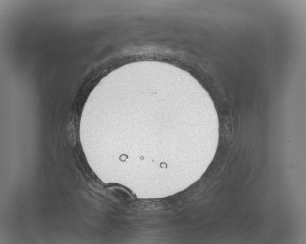 X0000082151493200702162155