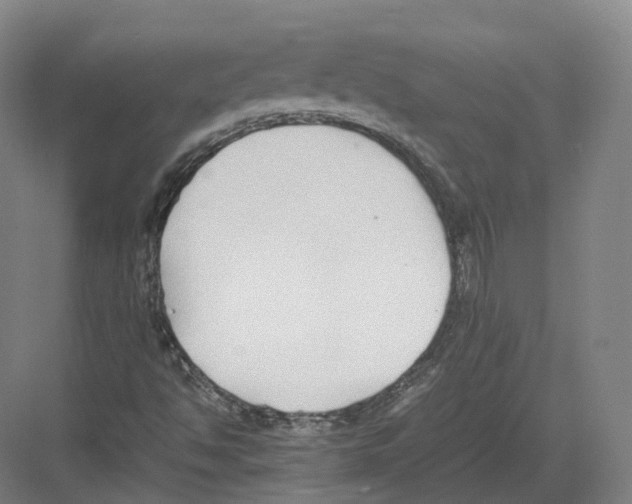 X0000082151494200702162155