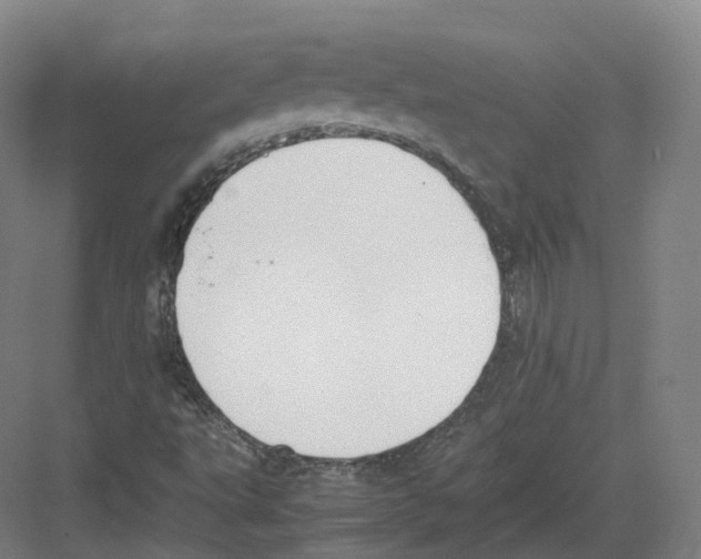 X0000082151495200702162155