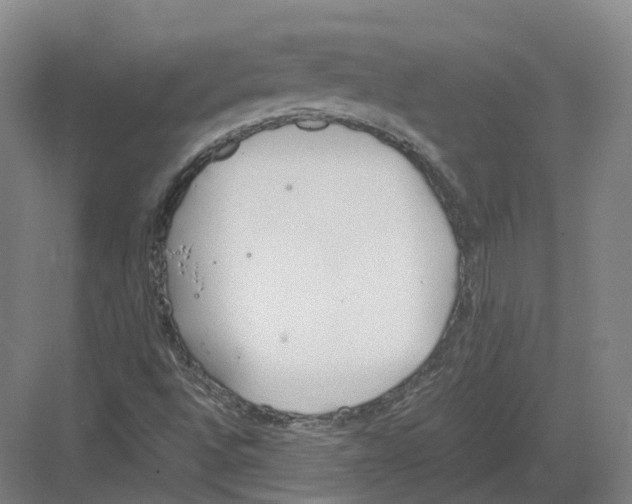 X0000082151496200702162155