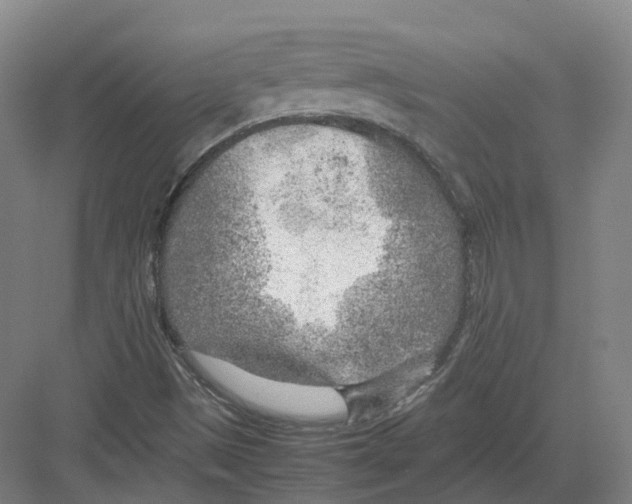 X0000082151497200702162155