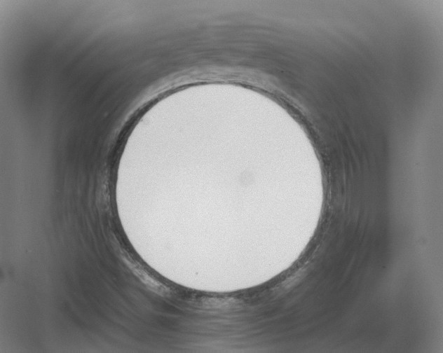 X0000082151498200702162155