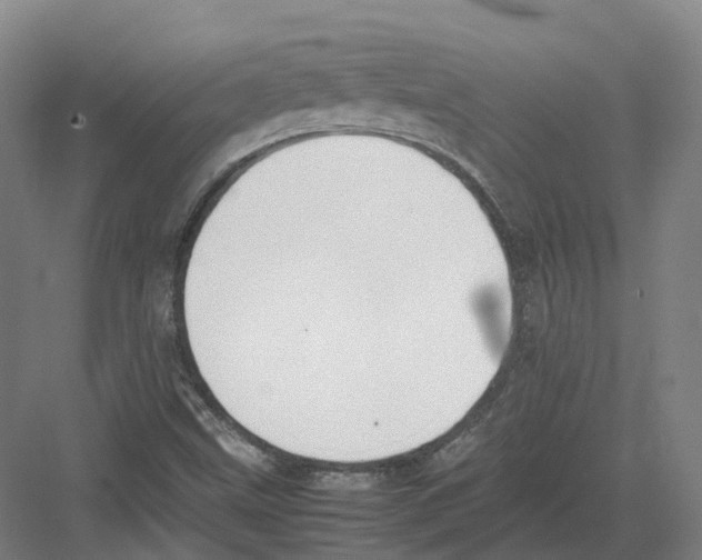 X0000082151499200702162155