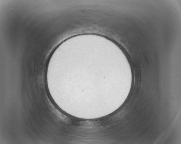 X0000082151500200702162155