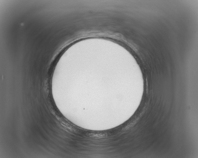 X0000082151501200702162155