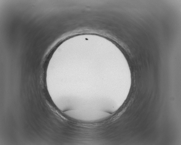 X0000082151502200702162155