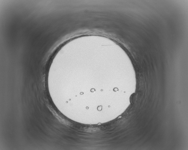 X0000082151503200702162155