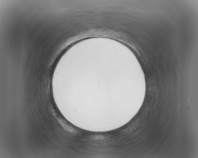 X0000082151507200702162155