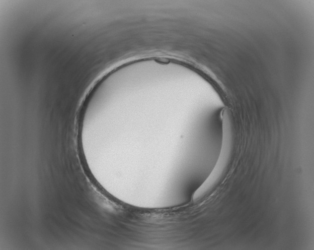 X0000082151508200702162155