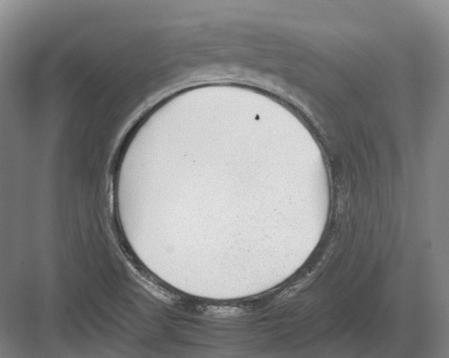 X0000082151509200702162155