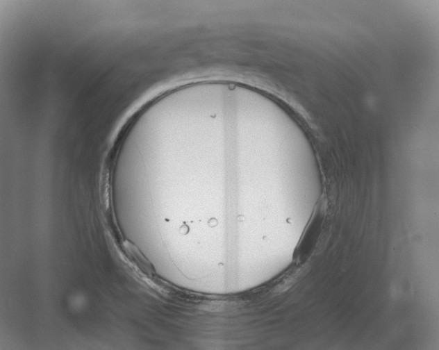 X0000082151510200702162155