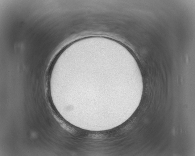 X0000082151511200702162155