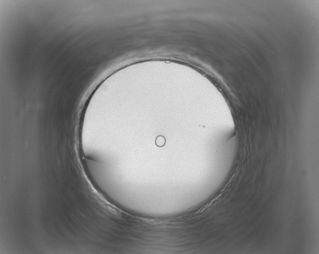 X0000082151512200702162155