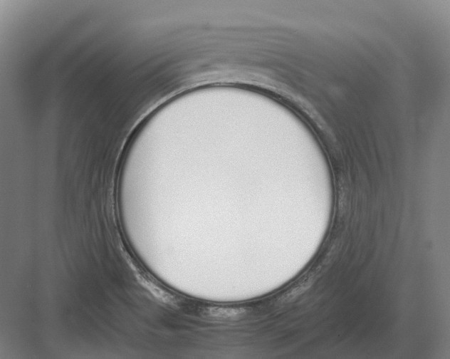 X0000082151513200702162155