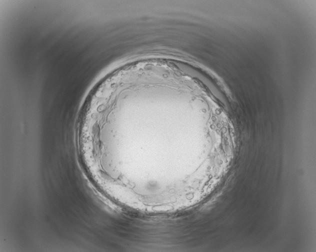 X0000082151514200702162155