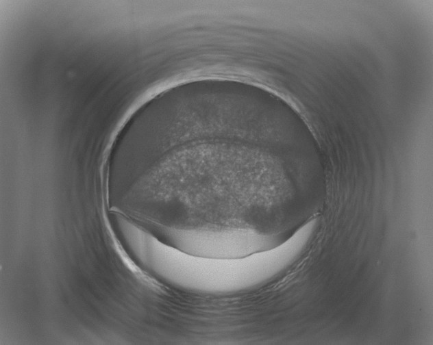 X0000082151515200702162155