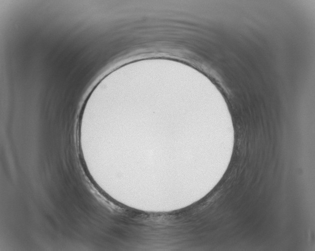 X0000082151516200702162155