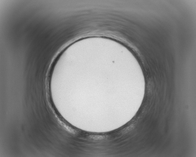 X0000082151517200702162155