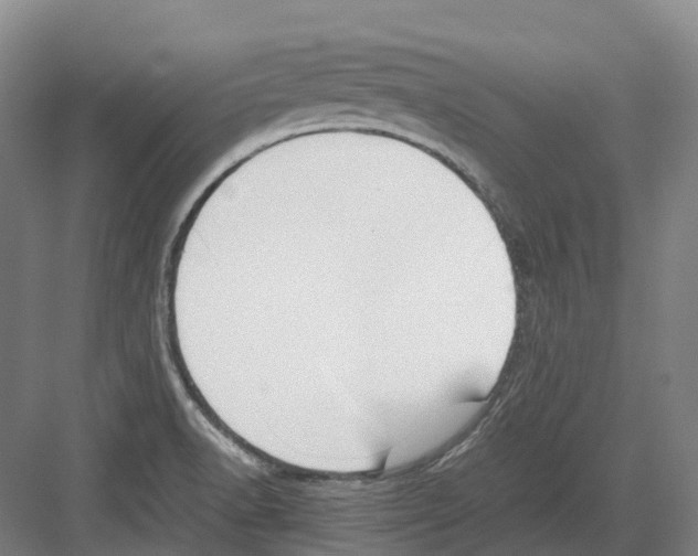 X0000082151518200702162155