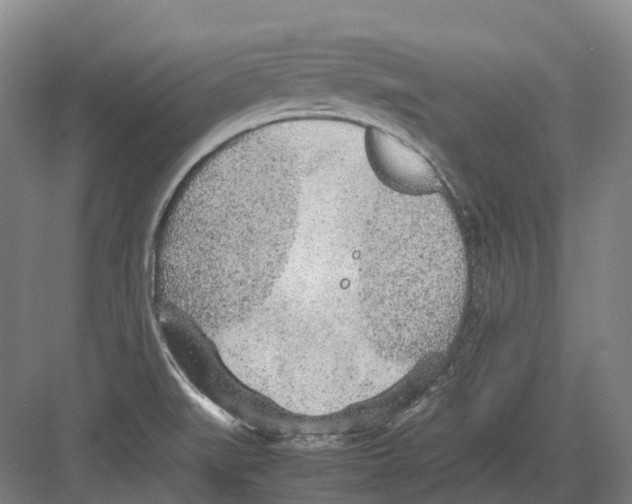 X0000082151519200702162155