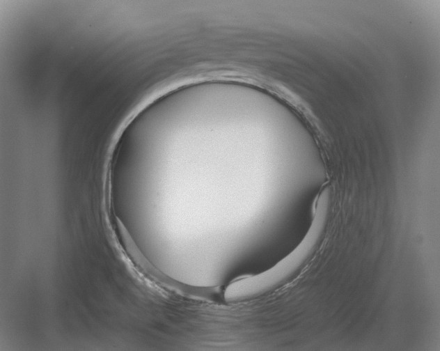 X0000082151520200702162155