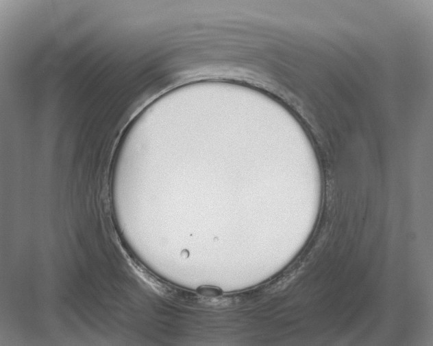 X0000082151521200702162155