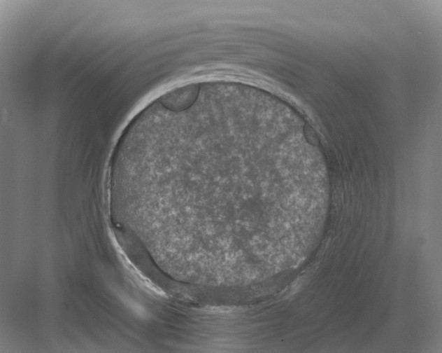 X0000082151522200702162155