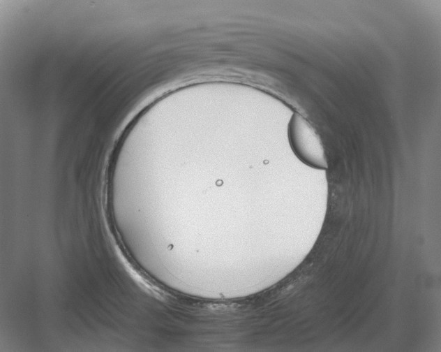 X0000082151523200702162155