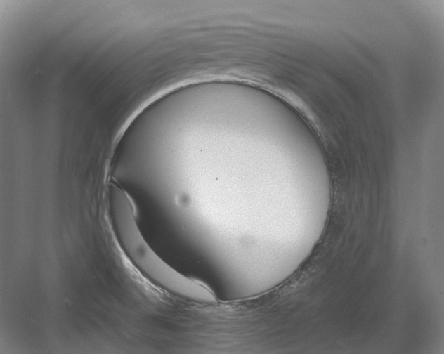 X0000082151524200702162155