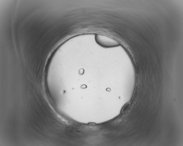 X0000082151525200702162155