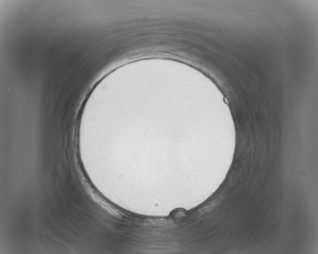 X0000082151526200702162155