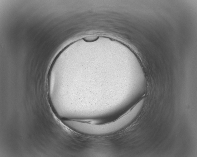 X0000082151527200702162155