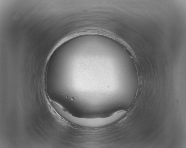 X0000082151530200702162155